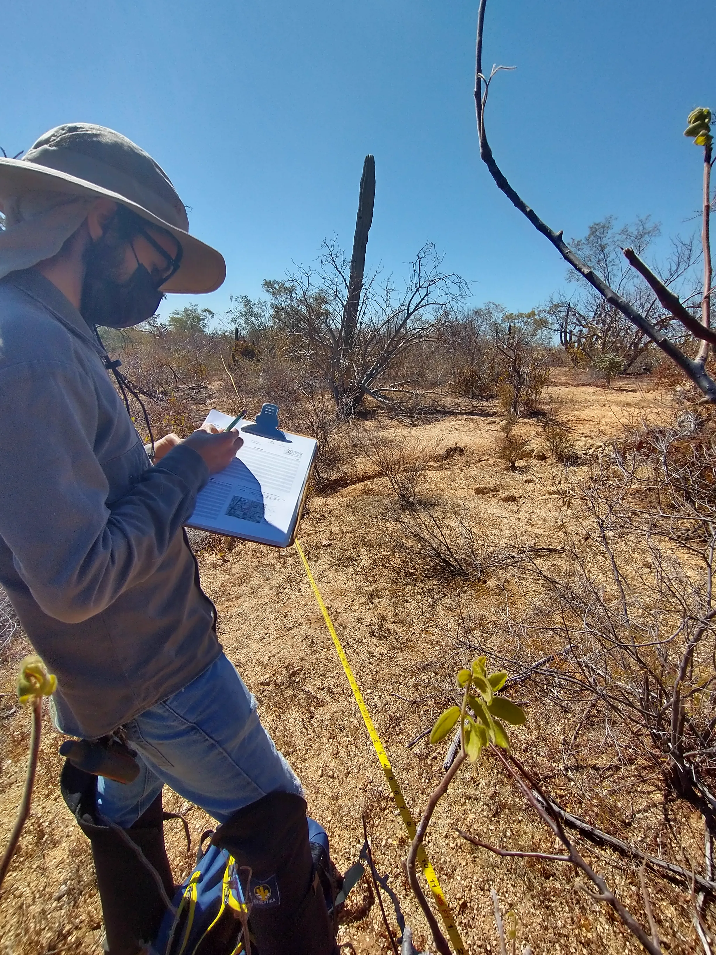 Trabajo de levantamiento ambiental